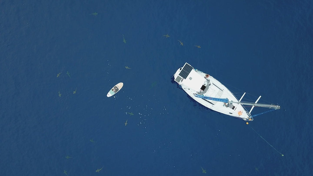 Sailing to Escape Winter: Stories of Boat & SUP Adventures