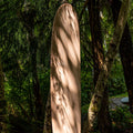 Front View of The Longboard Surf Board in The Rosé Color In The Forest