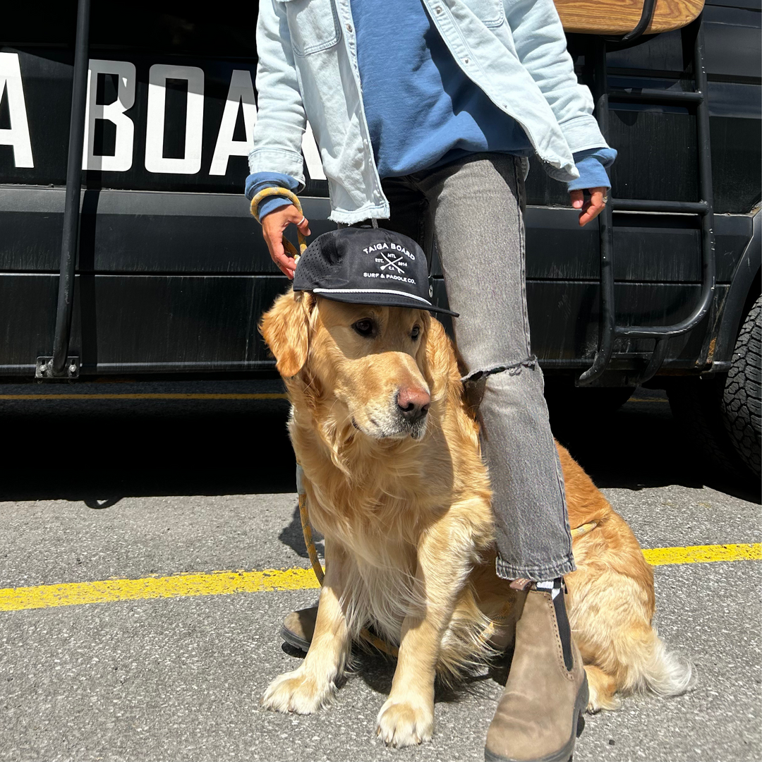 Dog Wearing the Mesh Surf & Paddle Co. Cap 