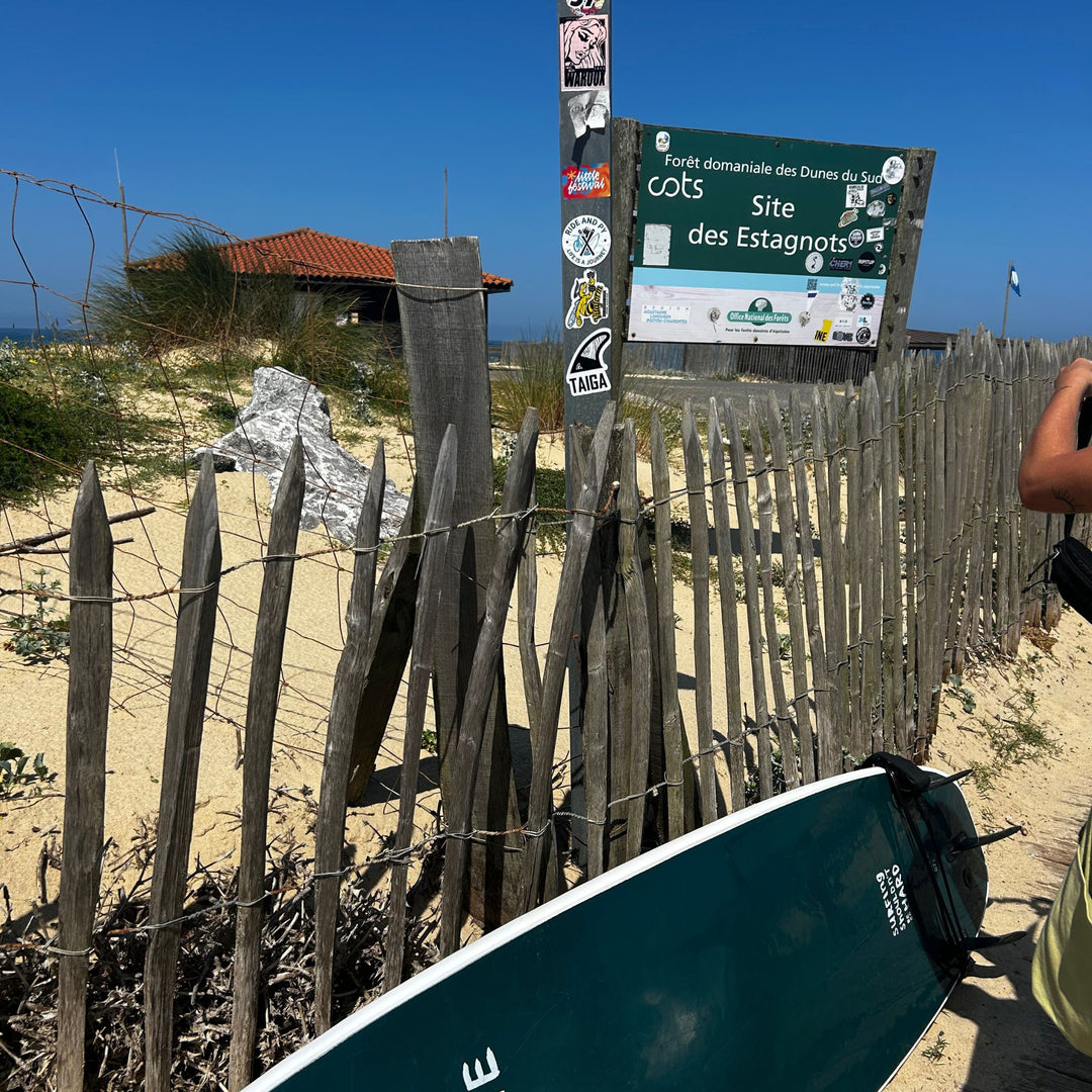 TAIGA -  Fin Sticker on Beach Pole