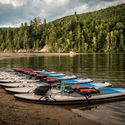 Paddle boards laying on a beach