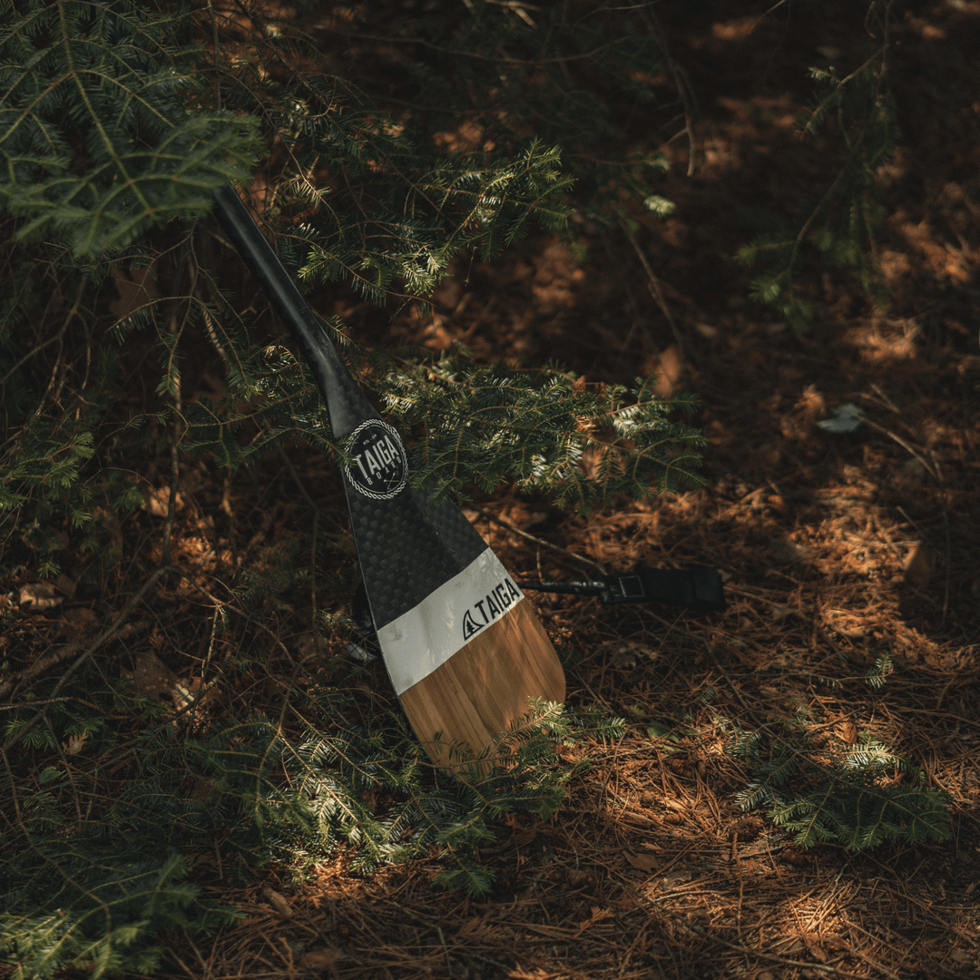 DIAMOND PADDLE - WOOD CARBON 12k - Fix 1 piece - Taiga Board