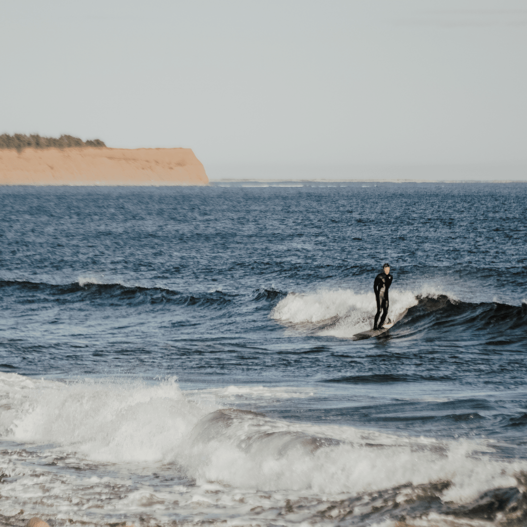 LONGBOARD 9'0'' - SURF BOARD - Taiga Board